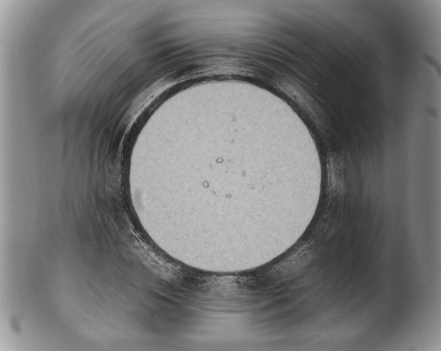 X0000102260828200808011402