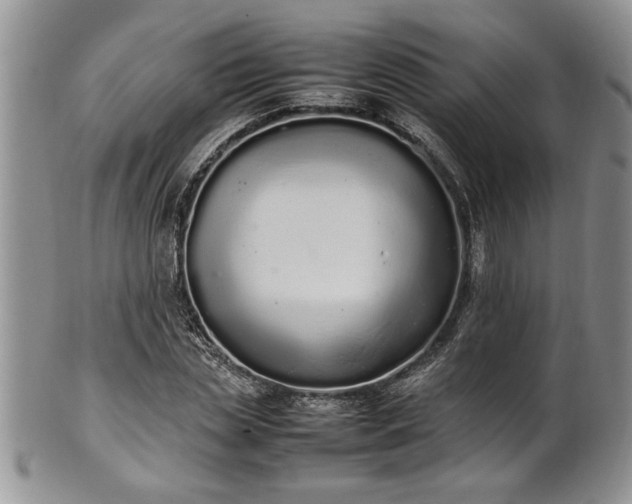 X0000102260829200808011402