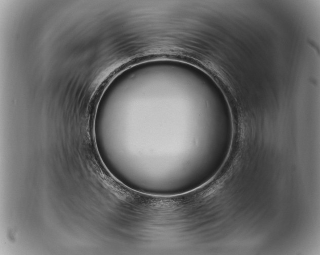 X0000102260830200808011402