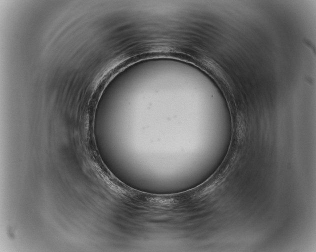 X0000102260831200808011402