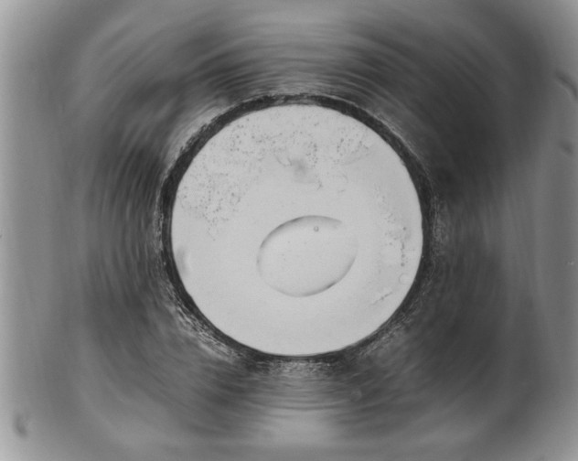 X0000102260832200808011402