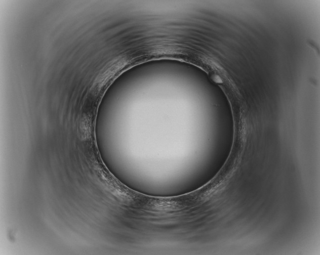 X0000102260833200808011402