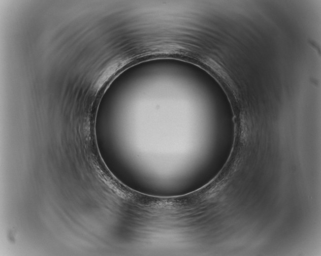 X0000102260834200808011402