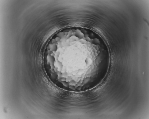 X0000102260835200808011402