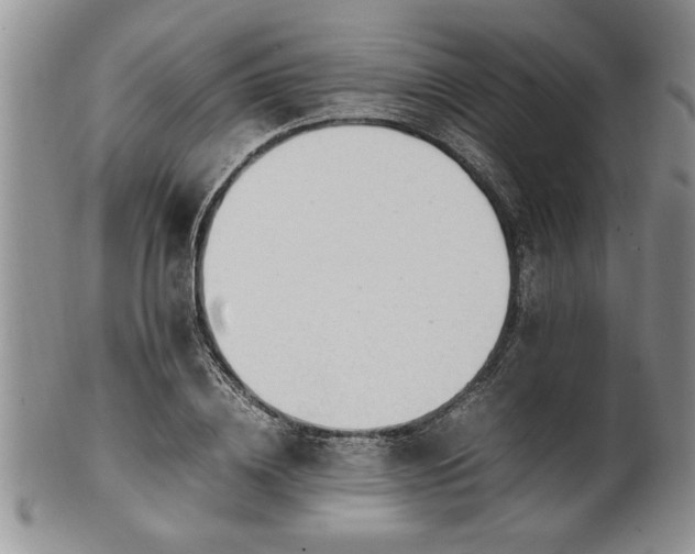 X0000102260836200808011402