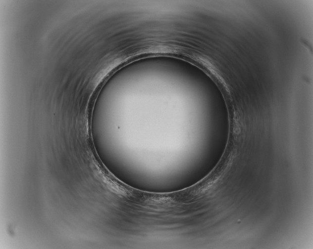 X0000102260837200808011402