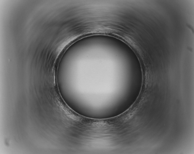 X0000102260838200808011403