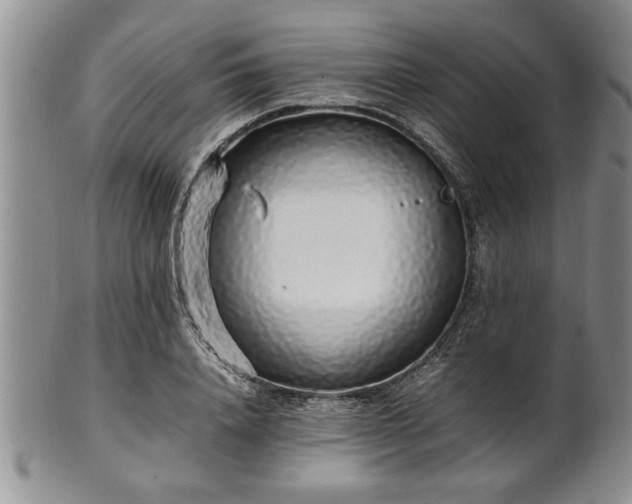 X0000102260840200808011403