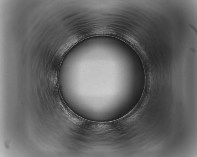 X0000102260841200808011403