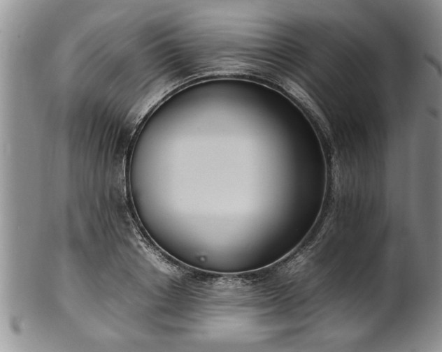 X0000102260842200808011403