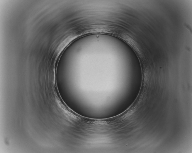 X0000102260844200808011403