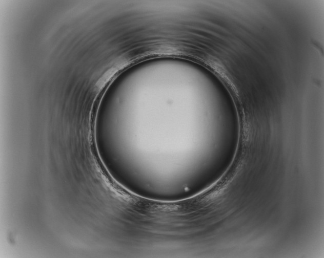 X0000102260845200808011403