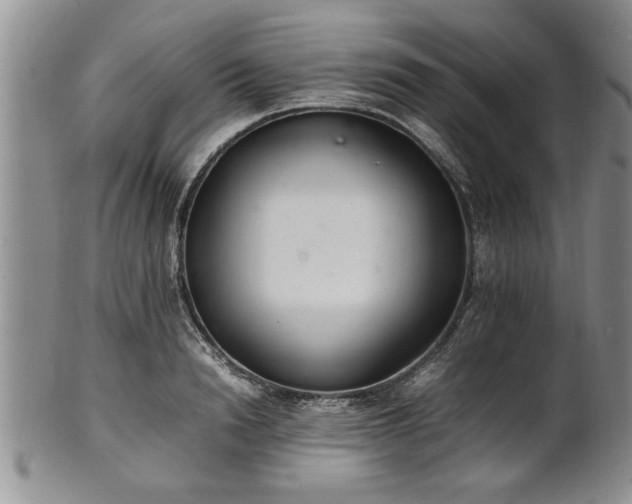 X0000102260846200808011403