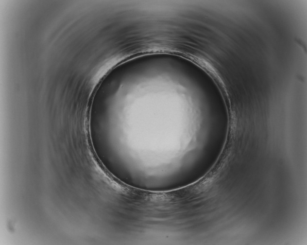 X0000102260847200808011403