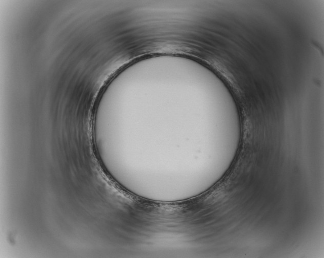 X0000102260848200808011403