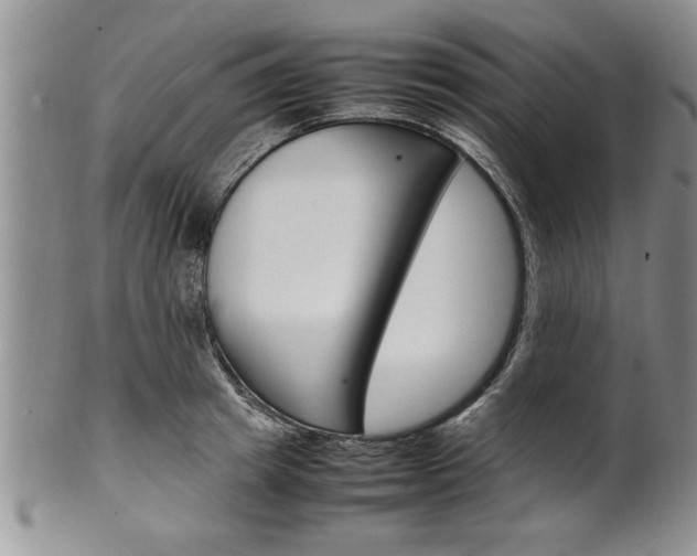 X0000102260849200808011403