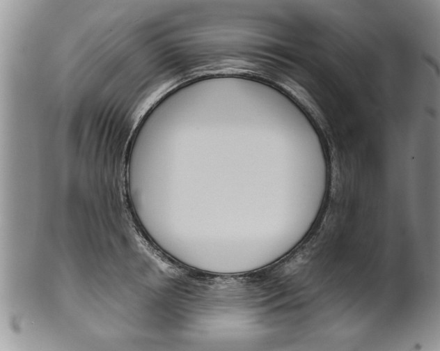 X0000102260850200808011403