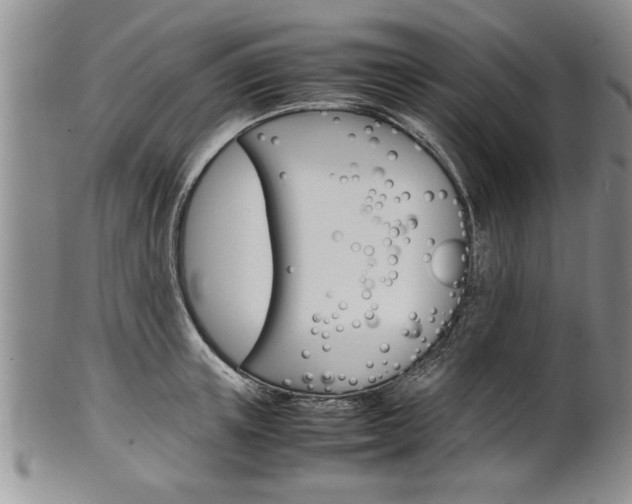 X0000102260851200808011403