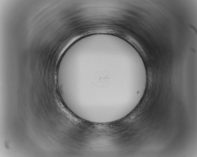 X0000102260852200808011403