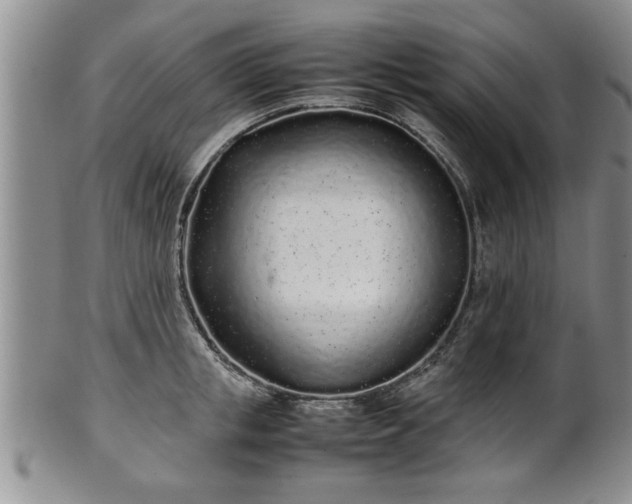 X0000102260853200808011403