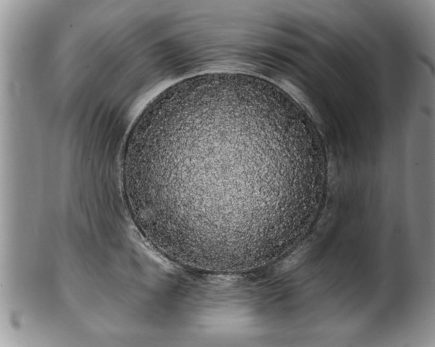 X0000102260854200808011403