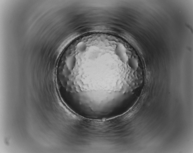 X0000102260855200808011403