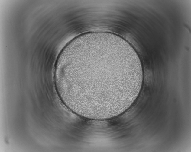 X0000102260856200808011403