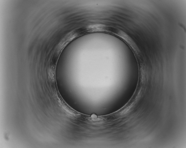 X0000102260857200808011403