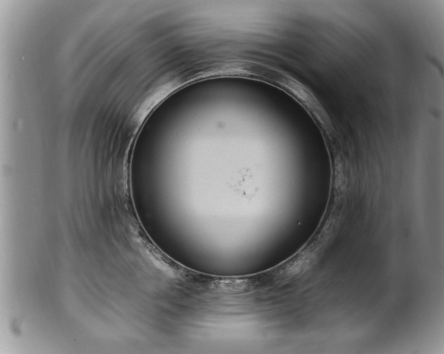 X0000102260858200808011403