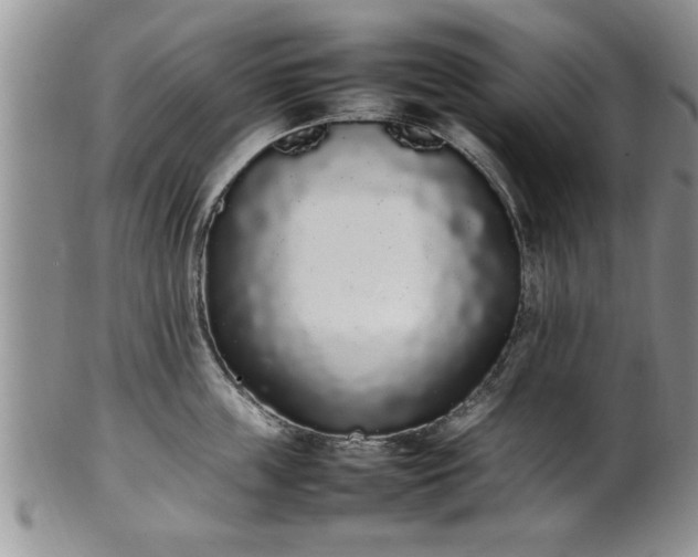 X0000102260859200808011403