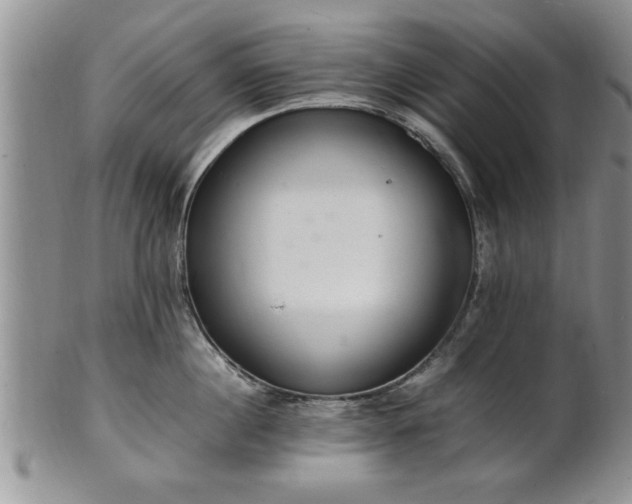 X0000102260860200808011403