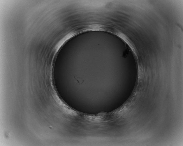 X0000102260861200808011403