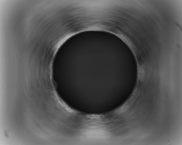 X0000102260862200808011403