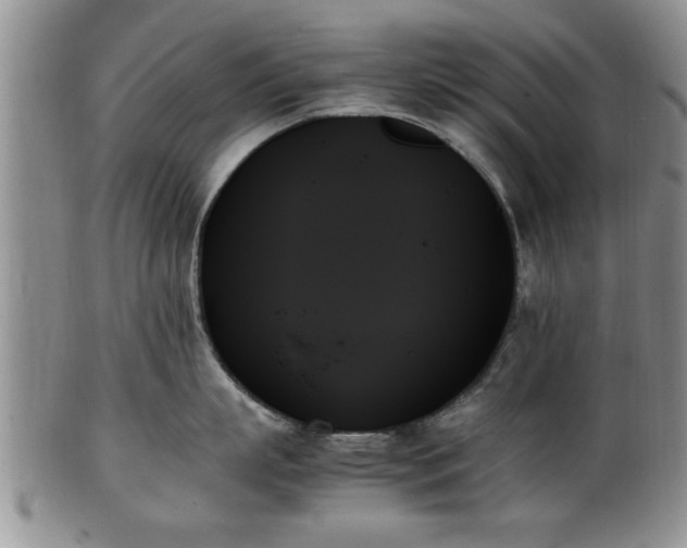 X0000102260863200808011403