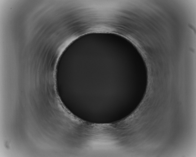 X0000102260864200808011403