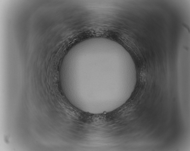 X0000102260865200808011402