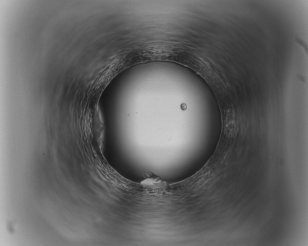 X0000102260866200808011402