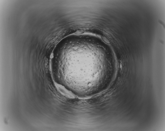 X0000102260867200808011402