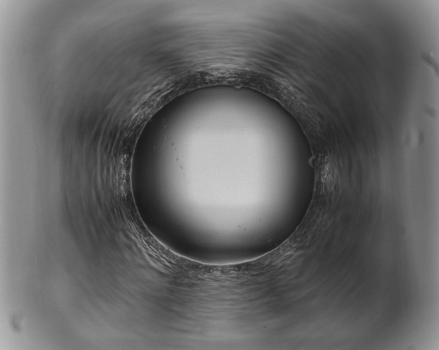 X0000102260868200808011402