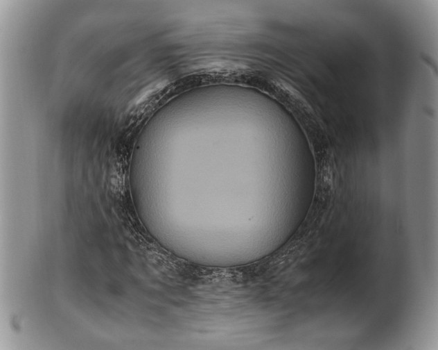 X0000102260869200808011402