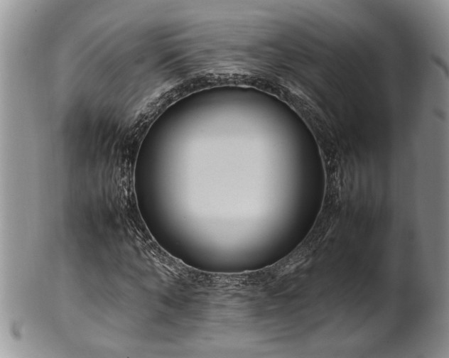 X0000102260870200808011402