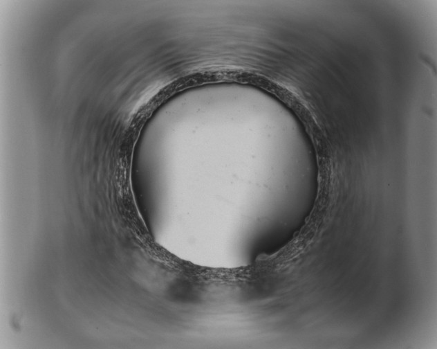 X0000102260871200808011402