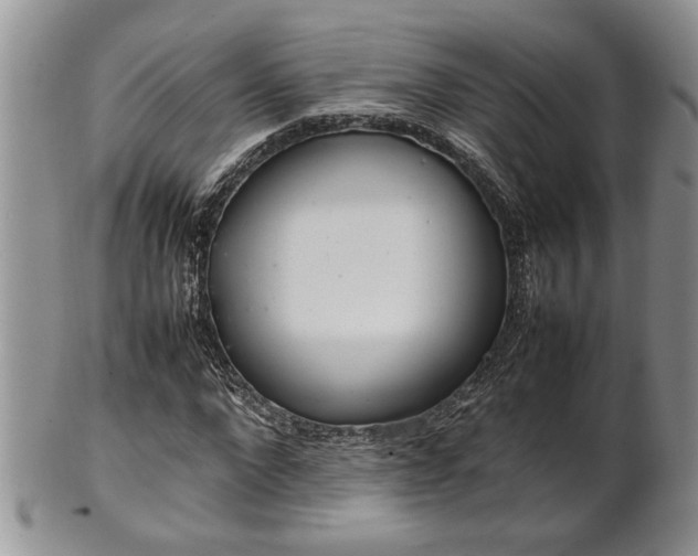 X0000102260872200808011402