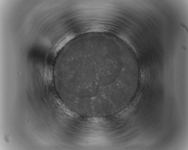 X0000102260874200808011402