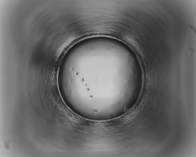 X0000102260875200808011402