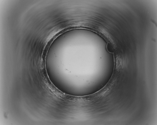 X0000102260876200808011402