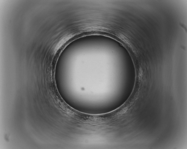 X0000102260877200808011402