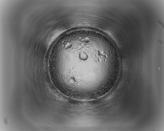 X0000102260879200808011402