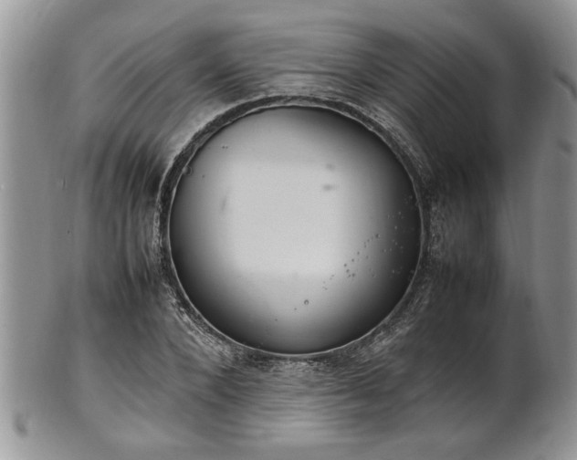 X0000102260880200808011402