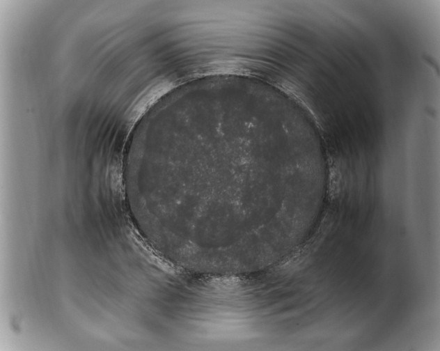 X0000102260882200808011402